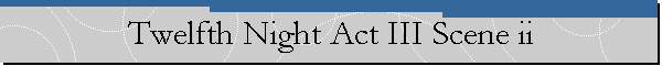 Twelfth Night Act III Scene ii